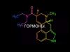 Гормоны. Виды гормонов и их классификация