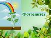 Фотосинтез