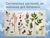 Систематика растений, ее значение для ботаники