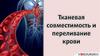 Тканевая совместимость и переливание крови