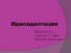 Идиоадаптация