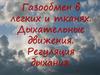 Газообмен в легких и тканях. Дыхательные движения. Регуляция дыхания