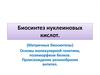 Биосинтез нуклеиновых кислот