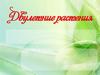 Двулетние растения