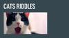 Cats riddles