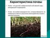 Понятие почва. Плодородие почвы