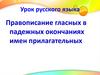 Правописание гласных в падежных окончаниях имен прилагательных
