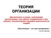Теория организации