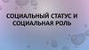 Социальный статус и социальная роль