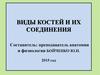 Виды костей человека и их соединения