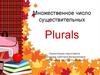 Множественное число существительных. Plurals
