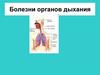 Болезни органов дыхания