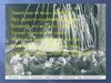 Освобождение Ленинграда в годы Великой Отечественной войны от блокады