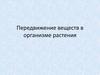 Передвижение веществ в организме растения