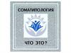 Соматипология — комплексная наука, изучающая связь строения тела человека и его психики
