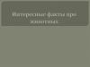 Интересные факты про животных