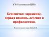 Бешенство: заражение, первая помощь, лечение