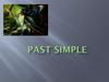 Past Simple