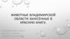 Животные Владимирской области, занесённые в Красную книгу