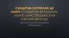 Синдром Корнелии де Ланге (синдром Брахмана-Ланге) (амстердамская карликовость)