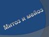 Митоз и мейоз