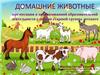 Домашние животные