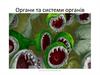 Органи та системи органів