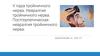 V пара тройничного нерва. Невралгия тройничного нерва. Постгерпетическая невралгия тройничного нерва