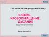 Кровообращение. Дыхание человека. (ОГЭ. Тест 3)