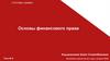 Основы финансового права