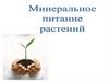 Минеральное питание растений