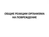 Реакции организма на повреждение
