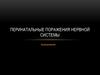 Перинатальные поражения нервной системы