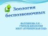 Зоология беспозвоночных