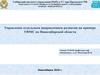 Управление отдельным направлением развития на примере УФМС по Новосибирской области