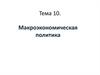 Макроэкономическая политика. Тема 10