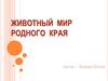 Животный мир родного края. Животные Урала