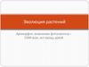 Эволюция растений