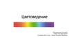 Цветоведение. 5 класс