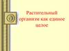 Растительный организм как единое целое