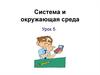 Система и окружающая среда