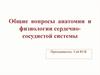 Анатомия и физиология сердечно-сосудистой системы