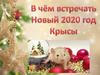 В чем встречать 2020 год