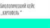 Биологический кейс "картофель"
