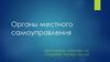 Органы местного самоуправления