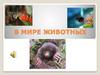 В мире животных