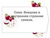 Семя. Внешнее и внутреннее строение семени