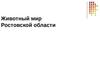 Животный мир Ростовской области
