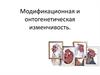 Модификационная и онтогенетическая изменчивость