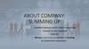 About company: summing up
